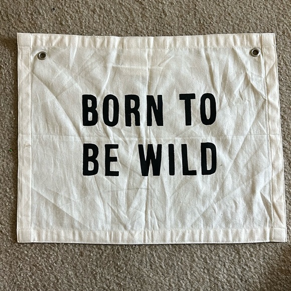 BORN TO BE WILD FLAG - Picture 1 of 6